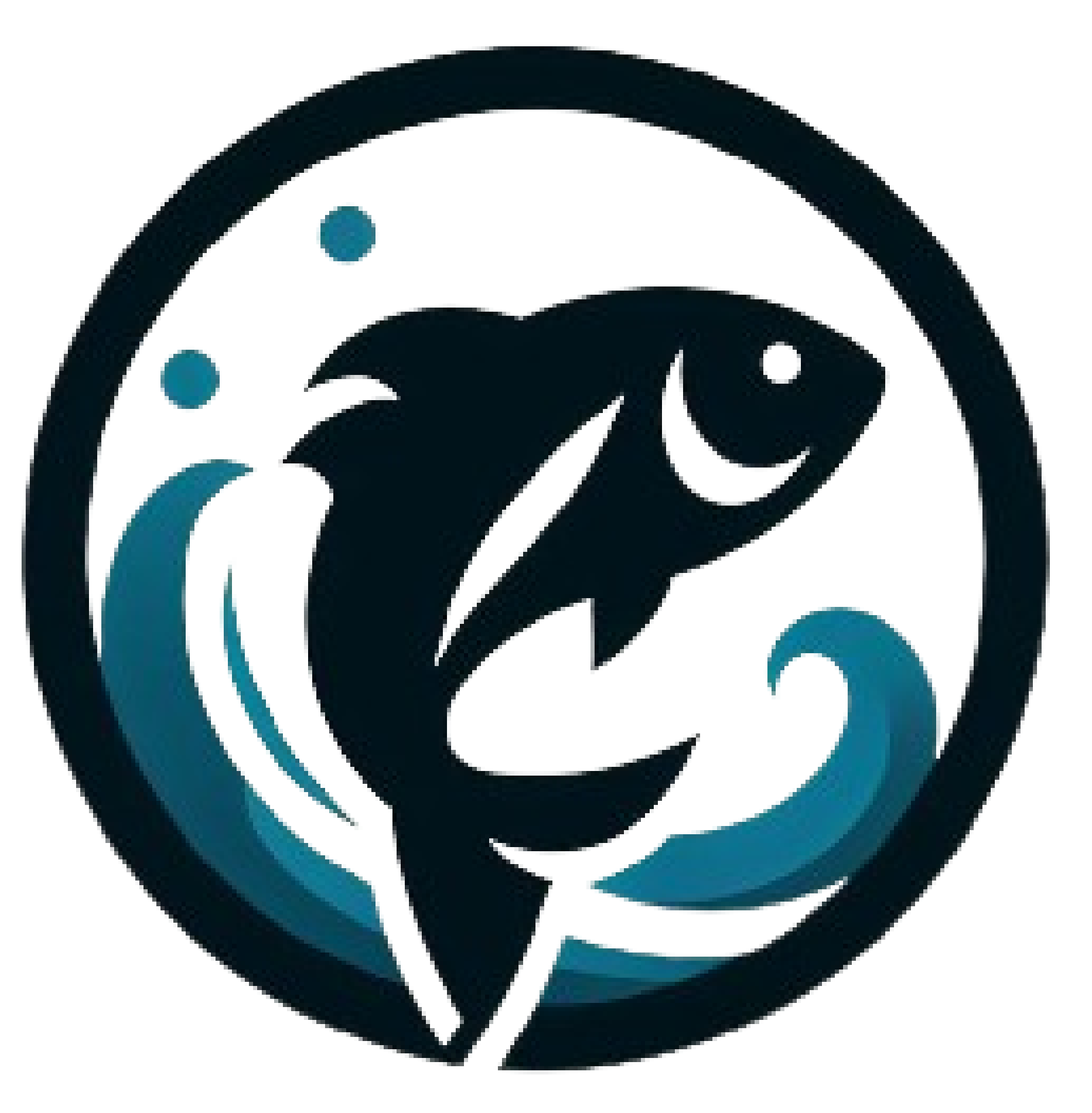 image poisson
