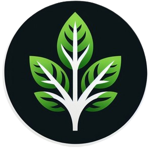 image plante